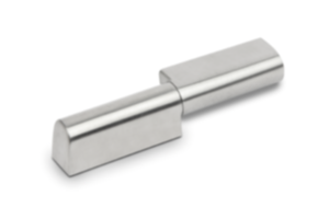 Charnière en Inox à visser Charnière en Inox à visser