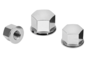 Cap nuts compact in Hygienic DESIGN Cap nuts compact in Hygienic DESIGN