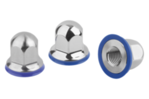 Hex nuts, stainless steel with seal washer in Hygienic DESIGN Hex nuts, stainless steel with seal washer in Hygienic DESIGN